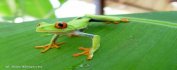 VOYAGE COSTA RICA - Pura vida